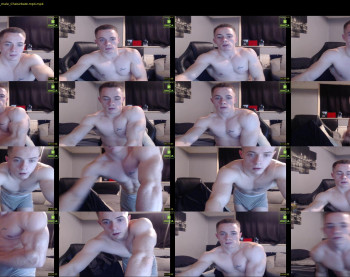 cbgainz