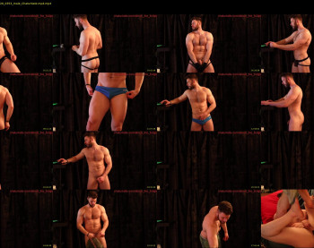 about_the_bulge