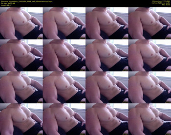 musclebe4r