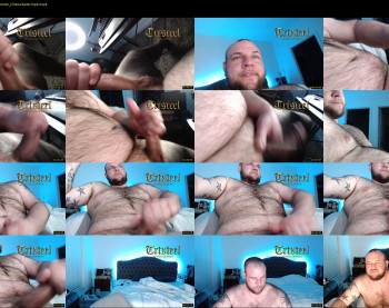 trtsteel