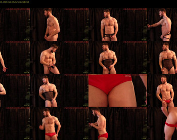 about_the_bulge