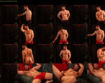 about_the_bulge