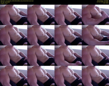 musclebe4r