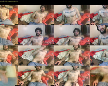 brandon2424933