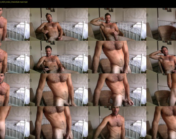 hungandy79v2