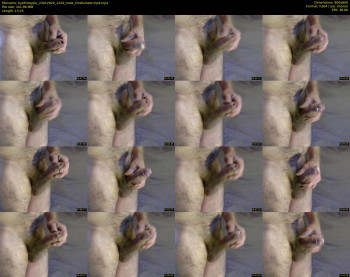 kysifrotsypic