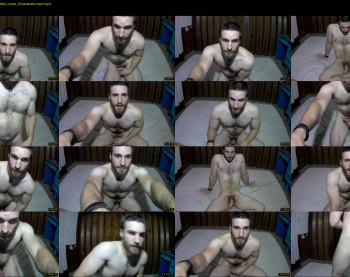 osito_blanco