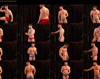 about_the_bulge