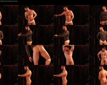 about_the_bulge