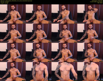 alphamatteo