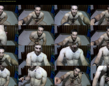 osito_blanco