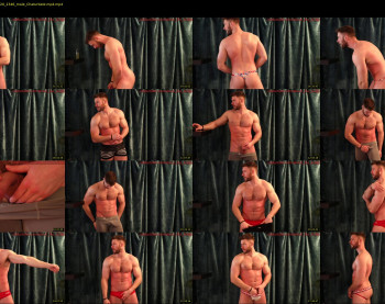 about_the_bulge