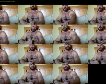 musclbear