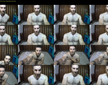 osito_blanco