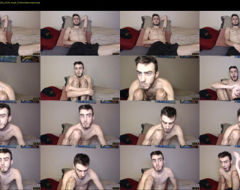 sexual_vibrations