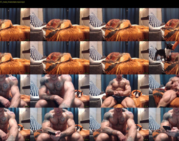 ironhulk22
