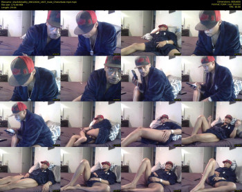 sharkdickwilly