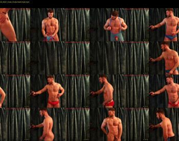 about_the_bulge