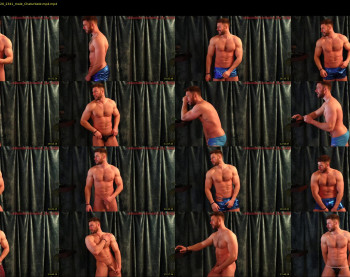 about_the_bulge