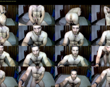 osito_blanco