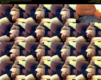 scottbearfun