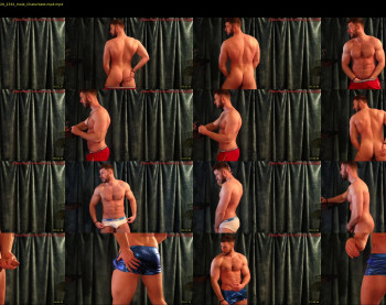 about_the_bulge