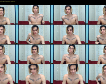 adam_main