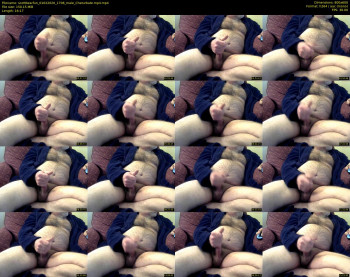 scottbearfun