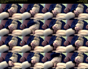 scottbearfun