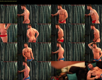 about_the_bulge