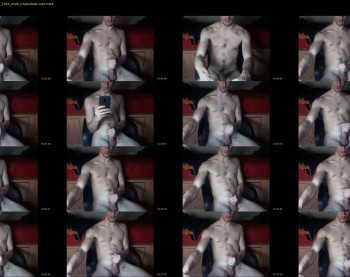 dalfox_94