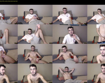 sexual_vibrations