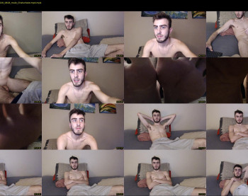 sexual_vibrations