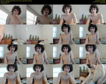 wolfiekitty