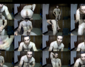 osito_blanco