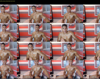 teddyfit19cm