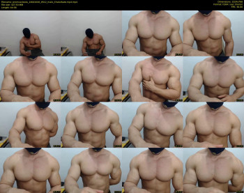 promuscles4u