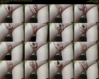 stefanslave1965