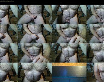 furrybear2