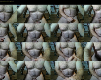 furrybear2