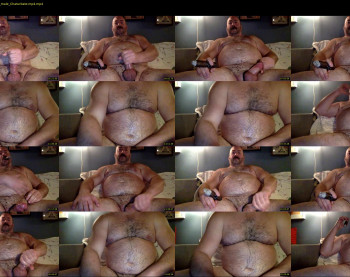 cjbbear