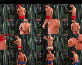 about_the_bulge