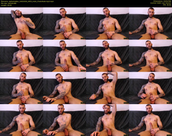 alphamatteo