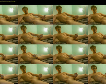 warrenstrips