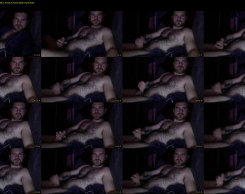 batorcub04
