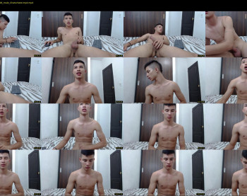 mestymys