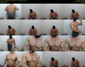 promuscles4u