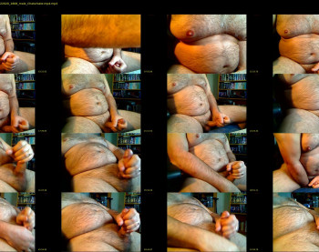 bellyworshipper