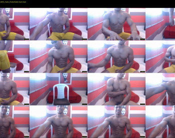teddyfit19cm