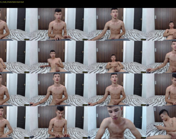 mestymys
